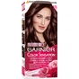 Фарба для волосся Garnier Color Sensation 4.15 Крижаний каштан 110 мл (3600541135819) - зменшене зображення 1