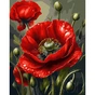 Картина по номерам Santi Червоний мак 40 х 50 см (954865) - зменшене зображення 1