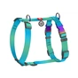 Шлея для собак WAUDOG Nylon Recycled анатомічна H-подібна з QR паспортом, градієнт, M блакитна (52872) - зменшене зображення 1