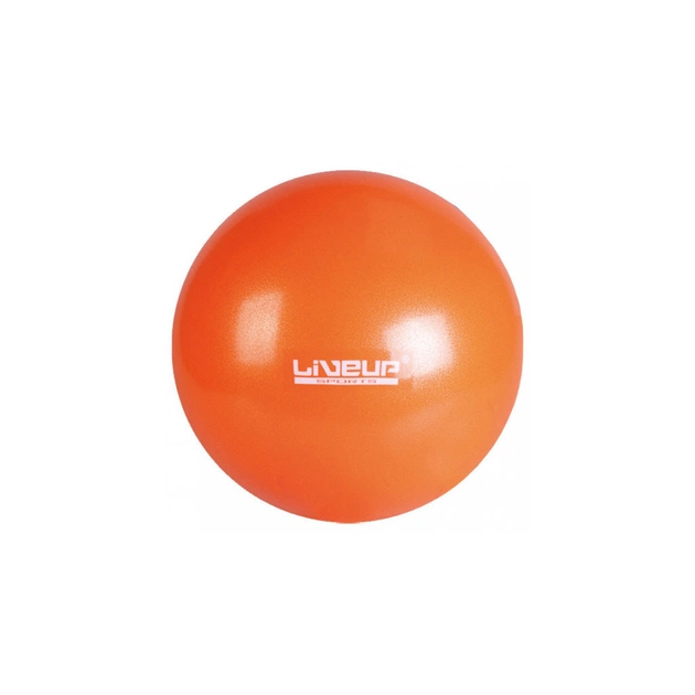 М'яч для фітнесу LiveUp Mini Ball LS3225-25o помаранчевий 25см (6951376103076) - зображення 1