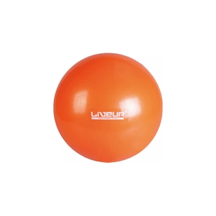 М'яч для фітнесу LiveUp Mini Ball LS3225-25o помаранчевий 25см (6951376103076) зображення 1