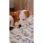 Плед Ardesto Fleece 100% поліестер 130x160см коргі (ART0713PB) - зменшене зображення 9