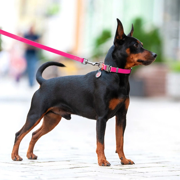 Повідець для собак WAUDOG Waterproof L-XXL Ш 25 мм Д 305 см рожевий (27347) - зображення 3