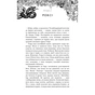Книга Зміїне лігво - К. А. Найт BookChef (9786175483985) - зменшене зображення 11