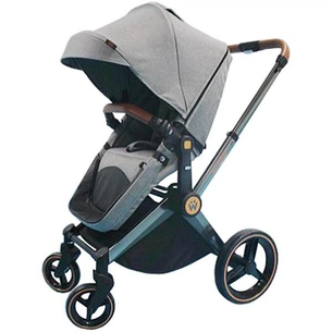 Коляска Welldon 2 в 1 Сіра (WD007-2) зображення 1