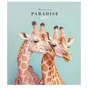 Зошит Школярик Love in paradise 48 аркушів клітинка (048-3256K) - уменьшенное изображение 2