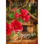 Книга Бунгало - Сара Джіо Vivat (9789669823519) - зменшене зображення 1