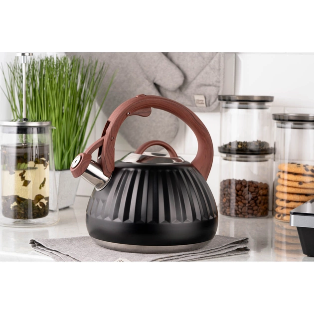 Чайник Ardesto Gemini 2.5 л Чорний (AR1958KS) - picture 6