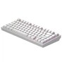 Клавіатура Dark Project ALU81 Terra Nostra PBT RGB Mech G3MS Moonstone White (DPKB_NOSTRA_81_ANSI_WHITE_UA) - зменшене зображення 5