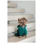 Костюм для тварин Pet Fashion Berry L (4823082437641) - зменшене зображення 5