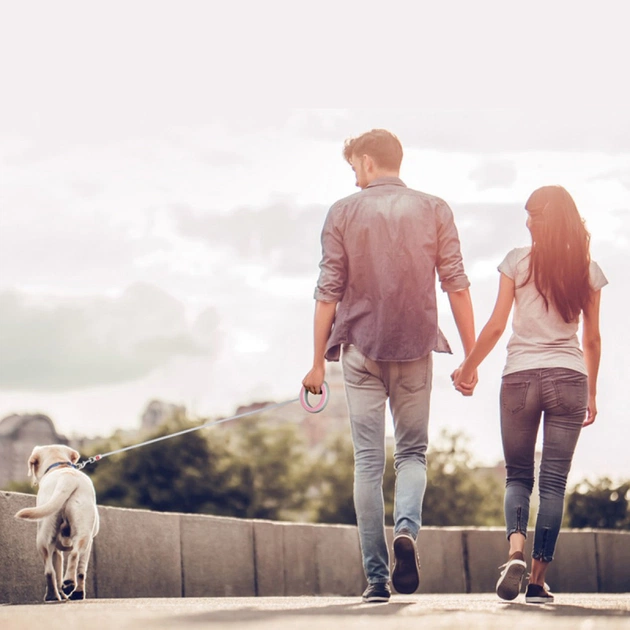 Повідець для собак WAUDOG R-leash світловідбиваюча стрічка XS-M до 40 кг 2.9 м рожевий (81277) - picture 9