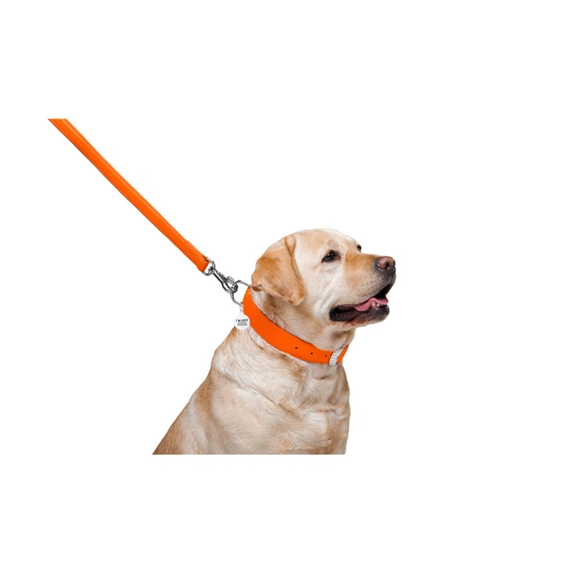 Повідець для собак WAUDOG Glamour шкіряний M-XXL помаранчевий (33764) - picture 4