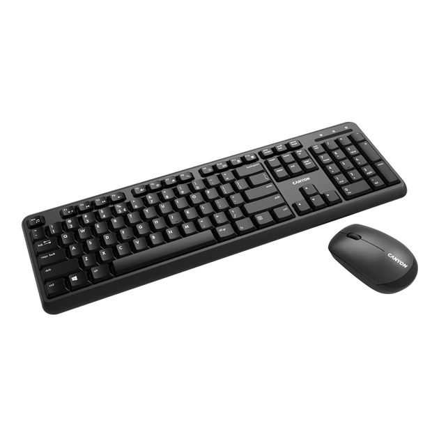 Комплект Canyon SET-W20 Wireless Black (CNS-HSETW02-RU) - изображение 1