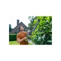Кущоріз Ryobi ONE+ RY18HT45A-0 (без АКБ та ЗП) (5133005380) - уменьшенное изображение 5