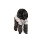Футболка для тварин Pet Fashion Фенікс S (4823082416653) - зменшене зображення 1