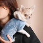 Костюм для тварин Pet Fashion "ALF" M джинс (4823082430048) - зменшене зображення 3