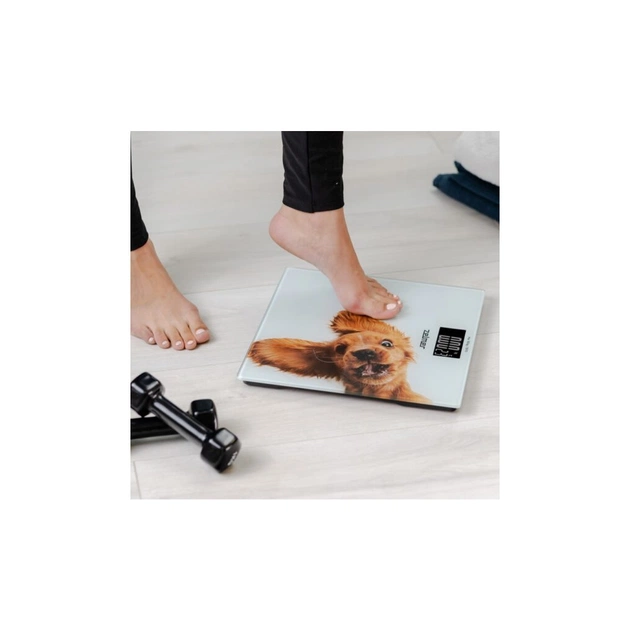 Весы напольные Zelmer ZBS1010 - изображение 7