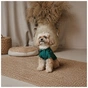 Футболка для тварин Pet Fashion Seaman М (4823082446285) - зменшене зображення 3