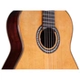 Гітара класична Cordoba C10 CD - зменшене зображення 6