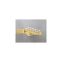 Електрогітара FGN Odyssey Boundary Series Black (BST-M/BK) - зменшене зображення 6