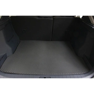 Килимок в багажник EVAtech Weltmeister EX5-Z 2018+ SUV China (WR41895B1RBB) зображення 1