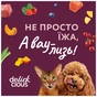 Вологий корм для собак Delickcious Смужки з лососем та морквою в крем-супі 85 г (4820269142053) - зменшене зображення 9