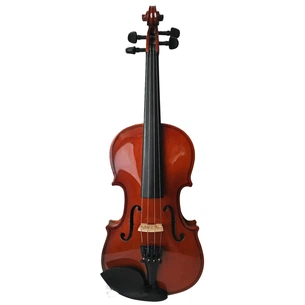 Скрипка Parksons CV101 1/2 зображення 1