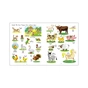 Книга English for kids. Книжка англійських слів у малюнках - Н. Коваль Активний розвиток талантів (9786170976093) - зменшене зображення 3