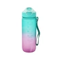 Бутылка для воды Gusto Went зелено-фіолетова 600 мл (GT-699015-600) - уменьшенное изображение 1