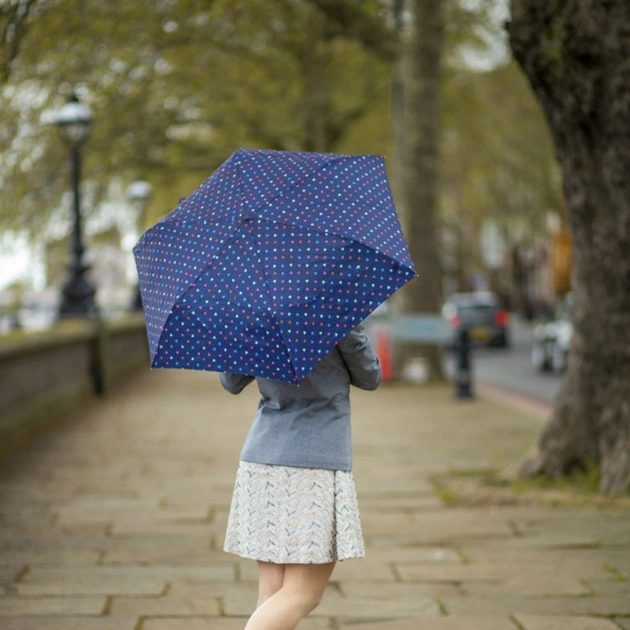 Парасоля Fulton L553-041239 Superslim-2 Ditsy Hearts (L553-041239) - зображення 3