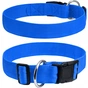 Нашийник для тварин Collar Dog Extremе 40 мм 43-70 см (блакитний) (67012) - зменшене зображення 1