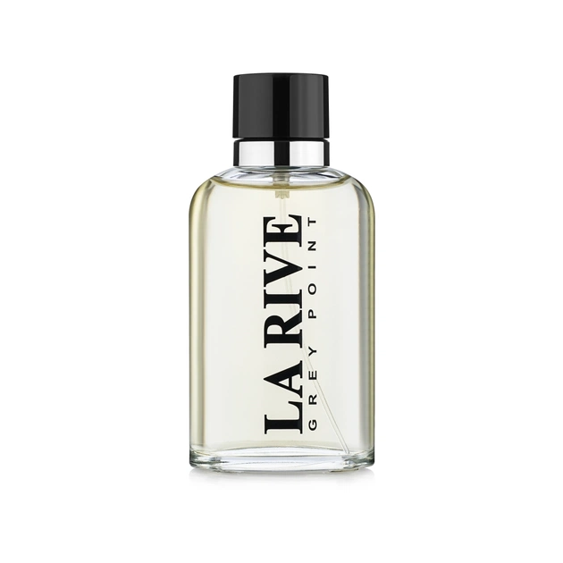 Туалетна вода La Rive Grey Point 90 мл (5906735234022) - зображення 1