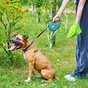 Повідець для собак WAUDOG R-leash з контейнером для пакетів S до 12 кг 3 м блакитний (26272) - зменшене зображення 9