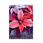 Календарь Buromax настенный А3 2027 год, 1 пружина, Flowers (BM.210604) - уменьшенное изображение 9