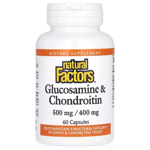 Витаминно-минеральный комплекс Natural Factors Глюкозамин и хондроитин, Glucosamine & Chondroitin, 60 капсул (NFS-02686) изображение 1