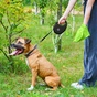 Повідець для собак WAUDOG R-leash з контейнером для пакетів S до 12 кг 3 м чорний (26271) - зменшене зображення 9