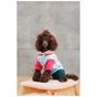 Костюм для тварин Pet Fashion Alisa XS2 (4823082437481) - зменшене зображення 6