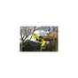 Кущоріз Ryobi сучкоріз RY18SCA-0, 18В ONE+, d 25мм, (без АКБ та ЗП) (5133005024) - зменшене зображення 11