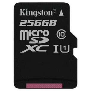 Карта пам'яті Kingston 256GB microSDXC Class 10 UHS-I (SDC10G2/256GBSP) зображення 1