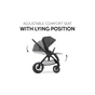 Коляска Hauck 2 в 1 Walk N Care Air (Dark Grey) (16548-5) - зменшене зображення 2