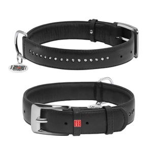 Нашийник для тварин WAUDOG Glamour з QR-паспортом, подвійний Ш 20 мм Д 30-39 см чорний (38761) зображення 1