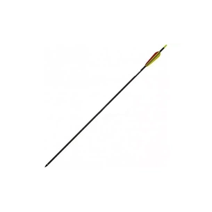 Стріла Poe Lang Carbon 30" Black (D-030B) зображення 1