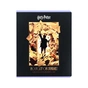 Зошит Kite Harry Potter, 48 аркушів, клітинка (HP26-259) - зменшене зображення 9