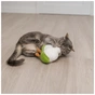 Игрушка для кошек Trixie Цветная капуста XXL с кошачьей мятой 18 см (4011905531588) - уменьшенное изображение 3