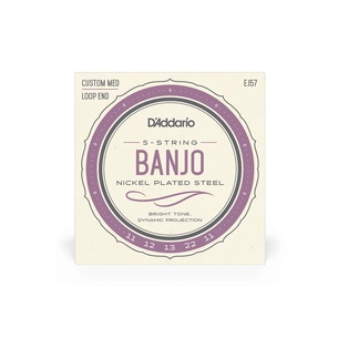 Струни для гітари D'Addario Banjo Nickel Plated Steel Custom Medium (11-22) (EJ57) зображення 1