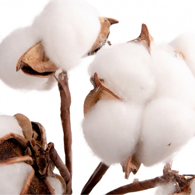 Декоративна гілка YES! Fun Бавовна 5 шт Пучок 24 см (974816) - picture 2