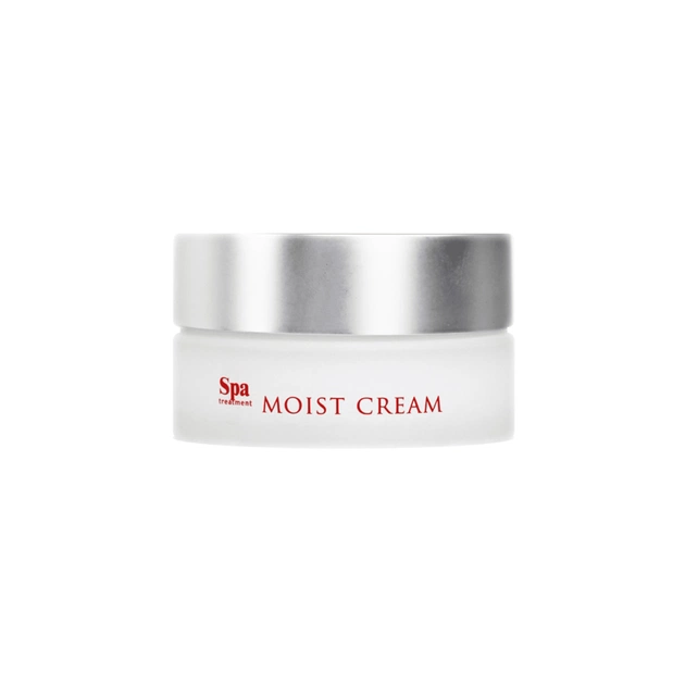Крем для лица SPA Treatment Abso Moist Cream Увлажняющий 30 г (4513857304932) - изображение 1