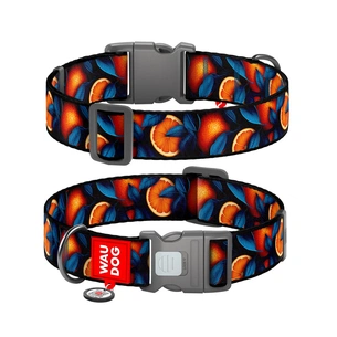 Нашийник для тварин WAUDOG Nylon з QR паспортом "Апельсини" пластиковий фастекс XXL (284-4054) зображення 1