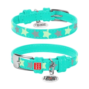 Нашийник для тварин WAUDOG Glamour з QR паспортом "Зірочка" L Ш 35 мм Д 46-60 см ментоловий (358813) зображення 1