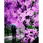 Картина по номерам ZiBi Квітучий парк 40*50 см ART Line (ZB.64205) - зменшене зображення 1
